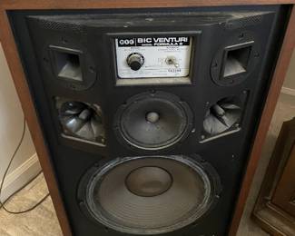 BIC Venturi speakers pair working
