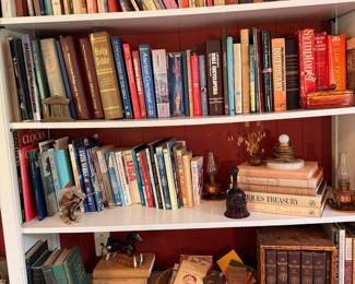 Bookcase Shelves Full Library Collection Figurines Collectibles Vintage Books