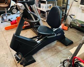 Nordick Track Recumbent Bike