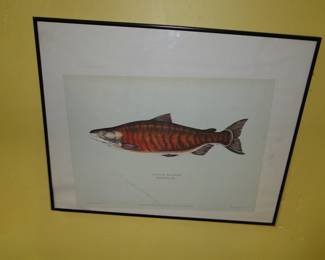 Fish art many of these