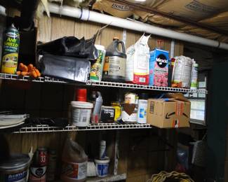 Basement/Garage Items