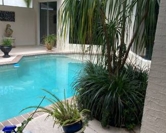 Yes ALL the plants are for sale! If you can find a way to get the tree out of there, you are welcome to purchase it. These established trees and plants are an incredible environmental peace around this pool!