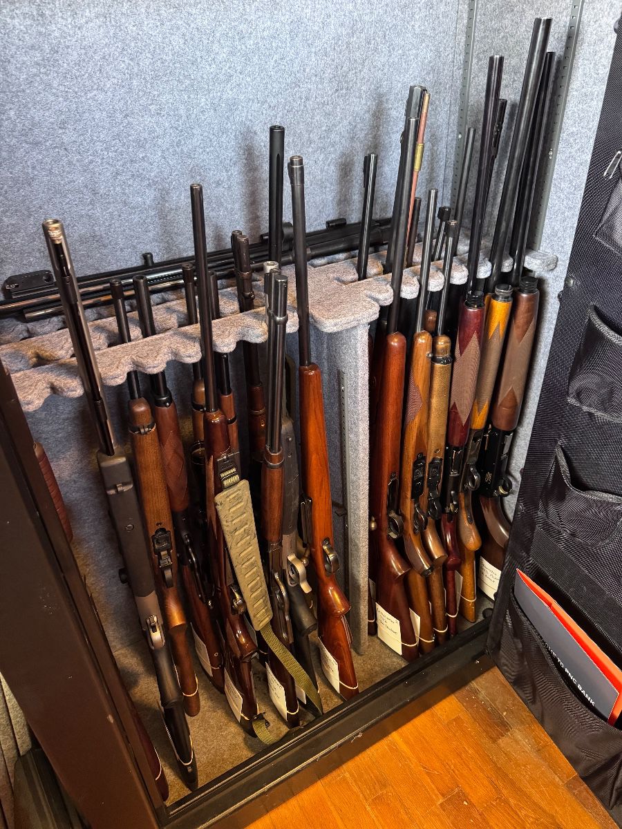 Safe comes with rest of original shelves as well 