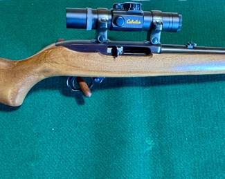 Ruger 10/22 .22 MAG