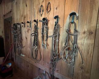 Bridles and bits