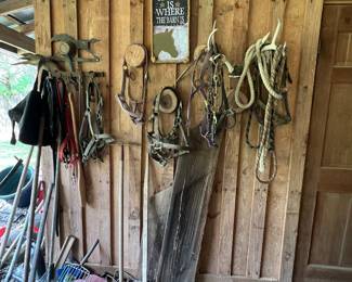 Bridles with bits