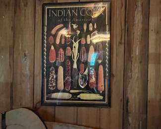 A framed educational print showcasing various types of Indian corn.