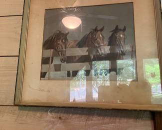 Horse picture