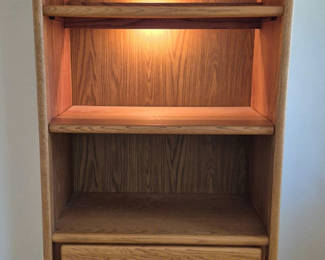 Lot 38: Lighted Bookcase with Storage Below
