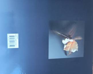 The Jewels of Lalique by Yvonne Brunhammer