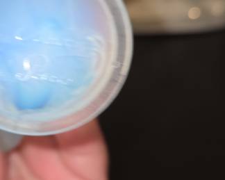 Karl Ens Porcelain Figurine of a Reclining Nude Woman