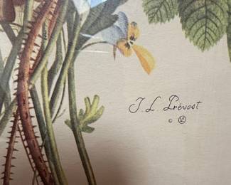J.L. Prévost Botanical Print - Bouquet with Rose and Thistle