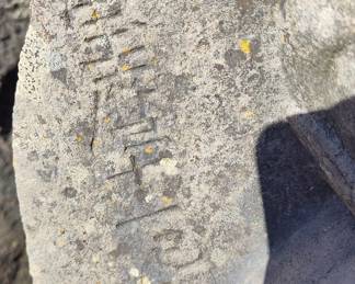 New Asset to Be Processed