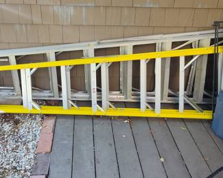 Werner 10 ft. Aluminum Extension Ladder with Yellow Steps