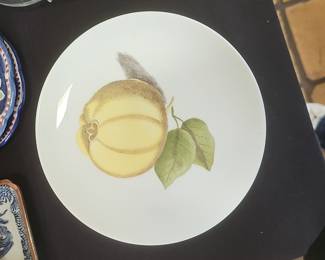 Hutschenreuther Porcelain Plate with Botanical Fruit Motif (Set of 3)