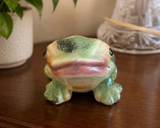 small frog plantr