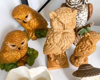 owls