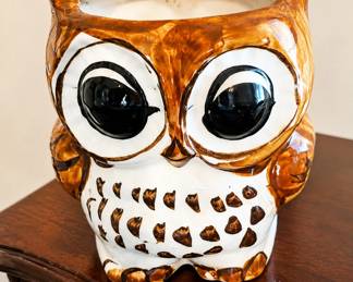 big owl