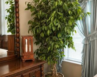 BEDROOM PLANT