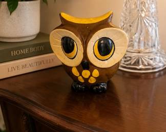 owl big eyes