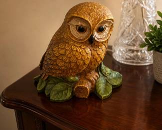 owl