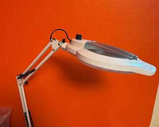 Professional Magnifying Lamp with LED Light