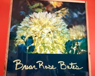 Briar Rose Bates Floral Photograph