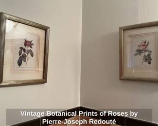 Vintage Botanical Prints of Roses by PierreJoseph Redout