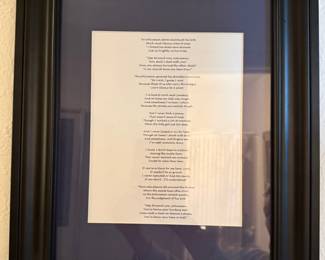 Police description picture