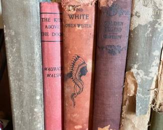 Wildflower Lane Estate Sale in Bay City antique books