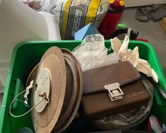 Bird Feeding and Watching