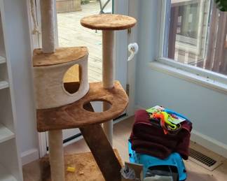 Cat Tree and Accessories