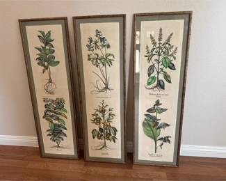 Beautiful Antique Botantical Trio