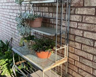 Outdoor plants and stands 