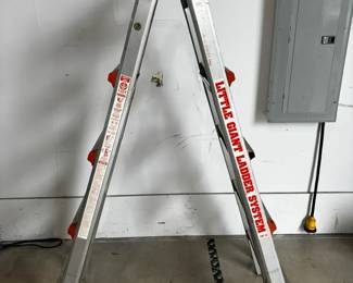 Little Giant Ladder