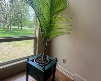 $45 Plant and Planter 