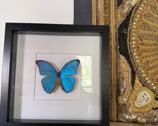 Who doesn't love a butterfly?