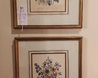 Framed pair of lithographed hand colored plates from Mrs. Loudon The Ladies Flower Carden, ca. 1849-1850