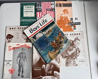 73 1964BoysLifeMagazineBoyScoutsofAmericaProgramQuarterly