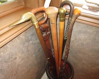 Cane selection