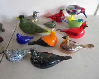 Italian Vigna bird collection