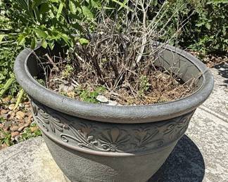 Terracotta Planter with Embossed Floral Rim