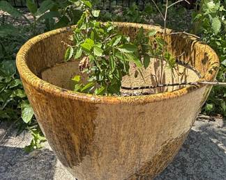 Terracotta Planter with Embossed Floral Rim