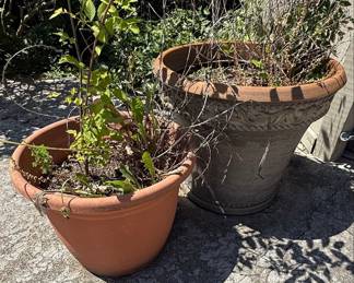 Terracotta Planter with Embossed Floral Rim