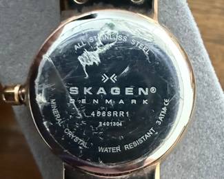 Skagen Leonora 456SRR1 Women's Watch