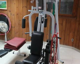 $ 250.00      Hoist  exercise gym