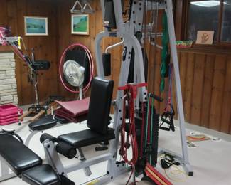 another view of Hoist gym