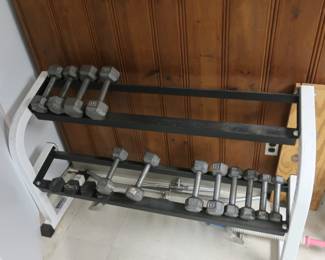 150.00  weights 5LB to 15 LB and rack
