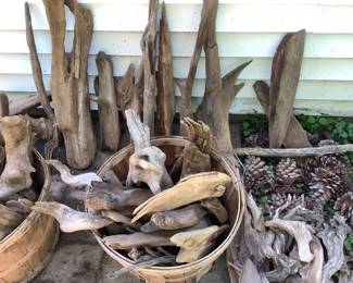 Another picture of the driftwood
