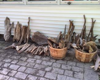 Wonderful collection of drift wood.